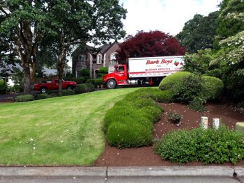 Grassy lawn with fresh bark dust, Bark Boys truck in the back