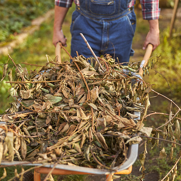 Yard debris