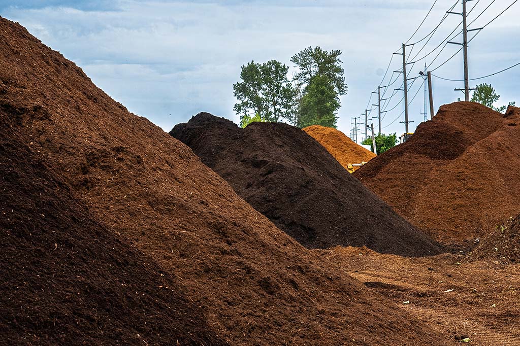piles of bark dust at Bark Boys in Salem Oregon piles of bark dust at Bark Boys in Salem Oregon