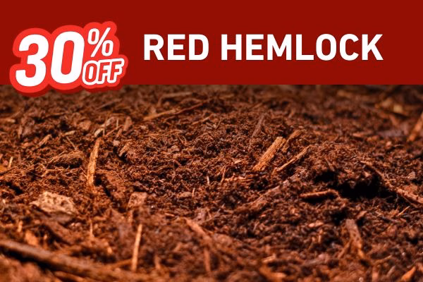 March Spring Sale Bark Boys (2) 30% off red hemlock bark
