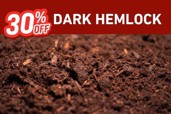 March Spring Sale Bark Boys 30% off dark hemlock bark
